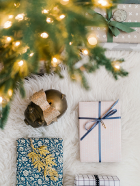 Santa Claus Advent Calendar Cotton Balls 